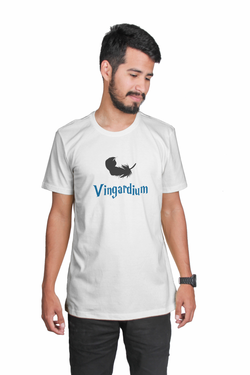 Harry Potter – Vingardium